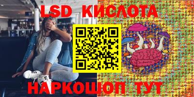 крисы Малгобек