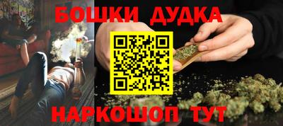 крисы Малгобек