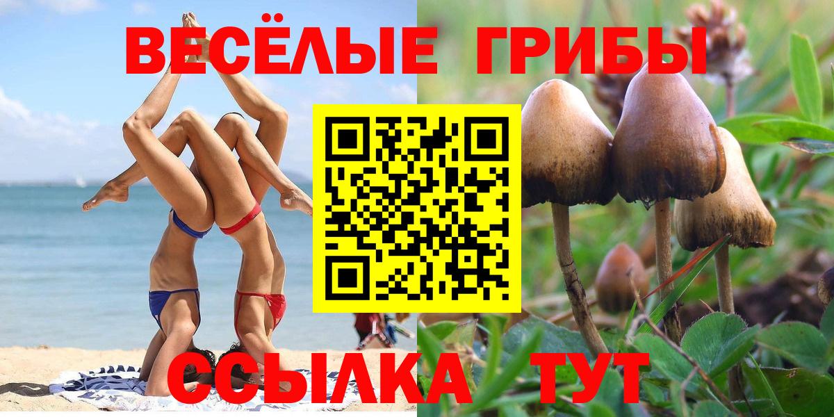 Галлюциногенные грибы MAGIC MUSHROOMS  Вход с VPN  Долгопрудный  Галлюциногенные грибы Psilocybe 
